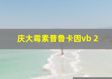 庆大霉素普鲁卡因vb 2